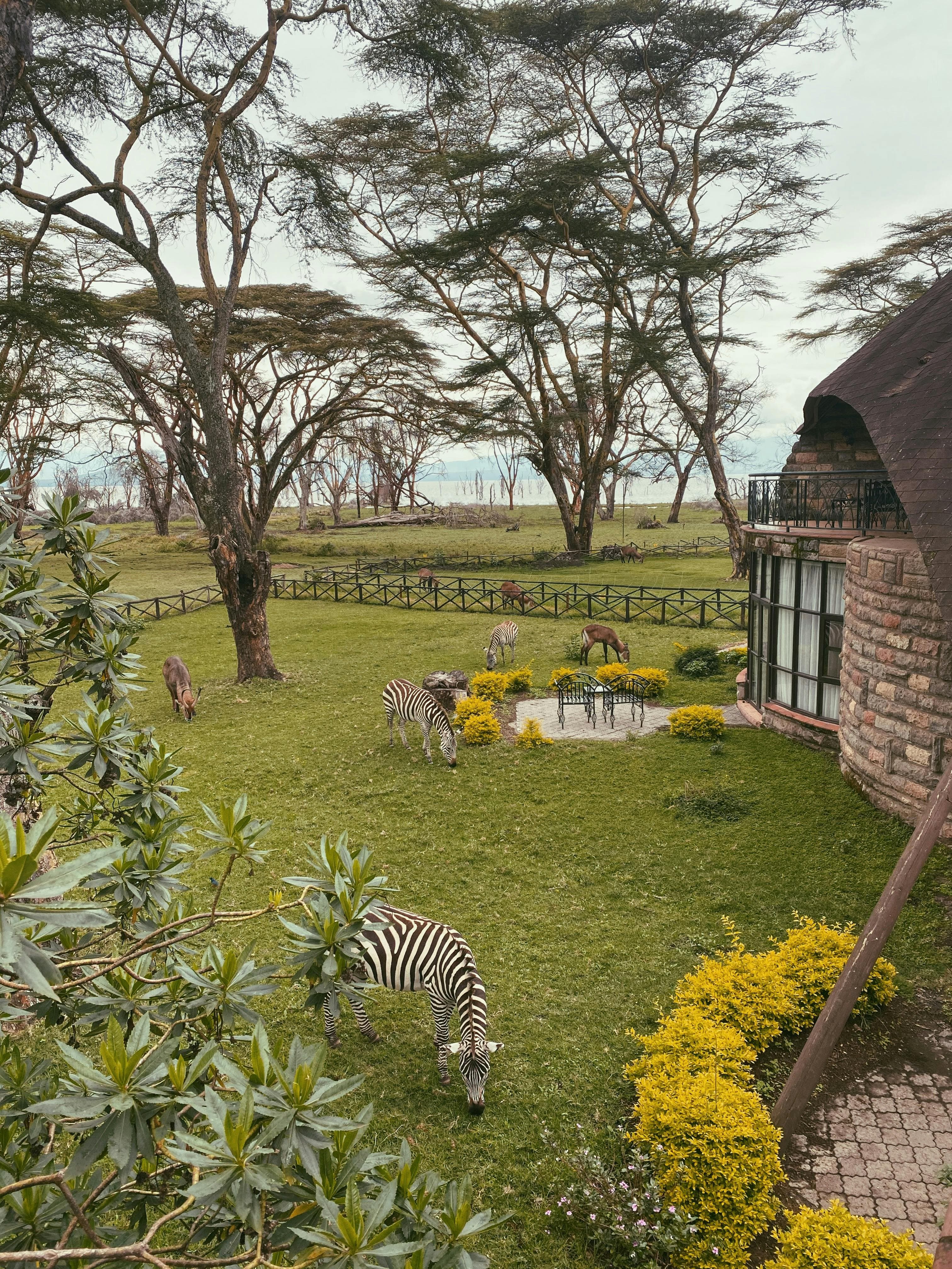 Prestige Accommodations