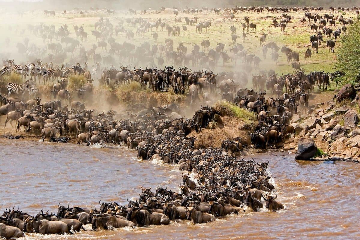 Nature & Wildlife