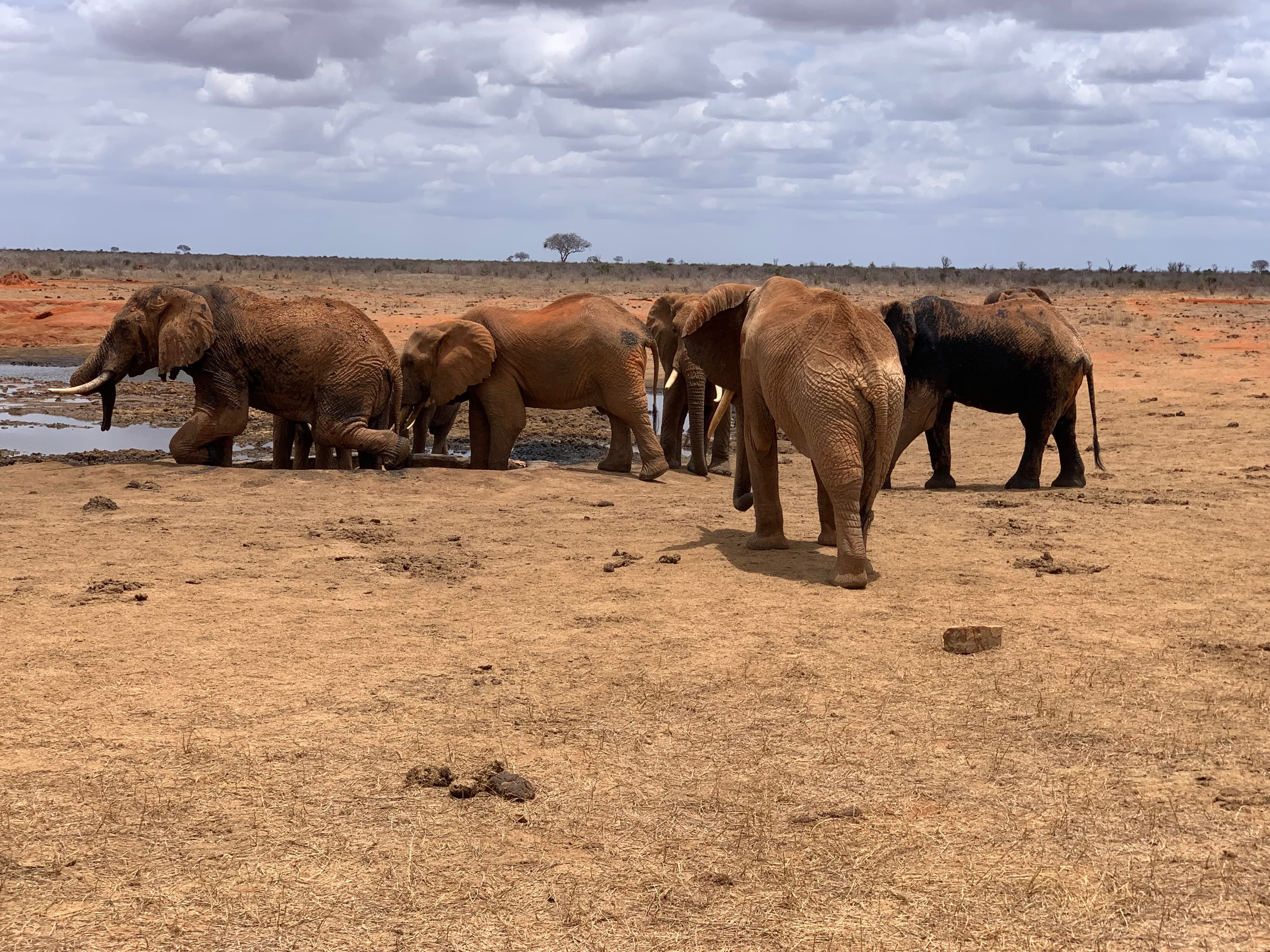 Shimba Hills National Reserve