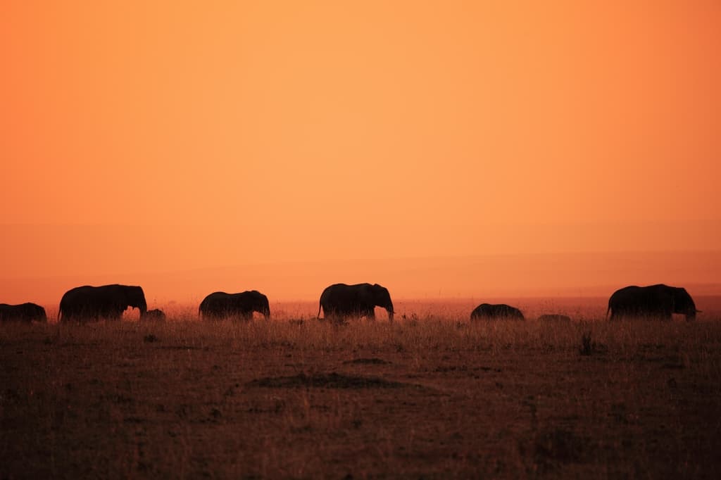 The Red Earth photo 1