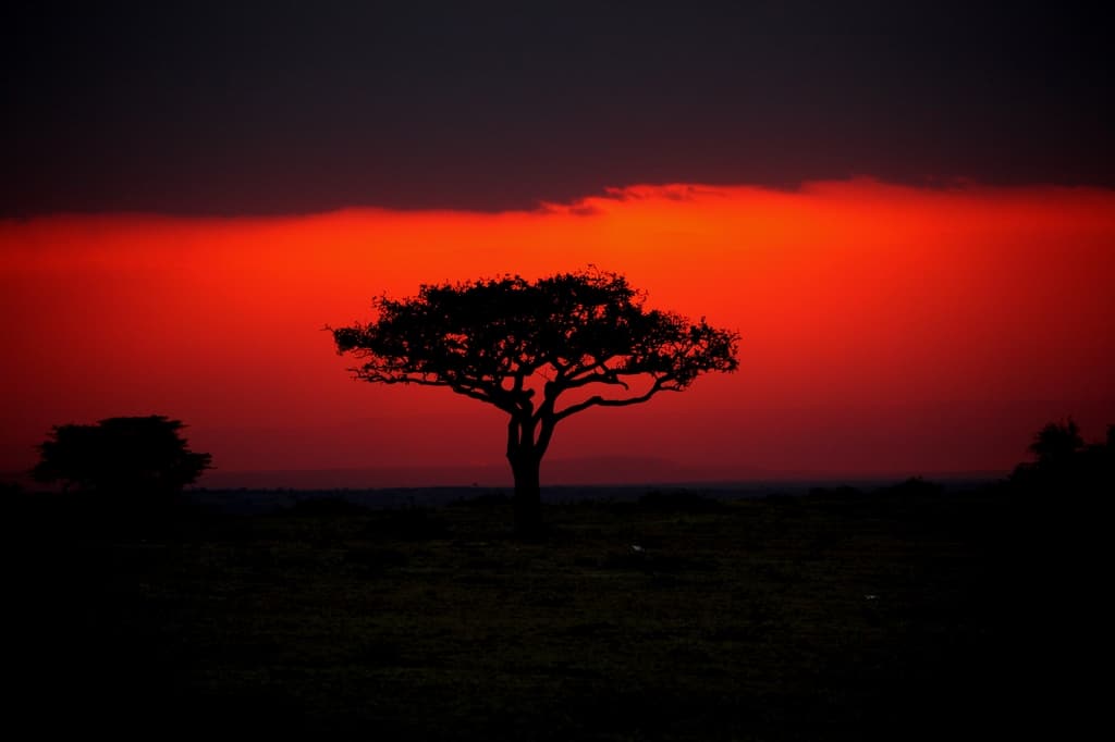 The Red Earth